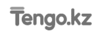 Tengo_partners_logo